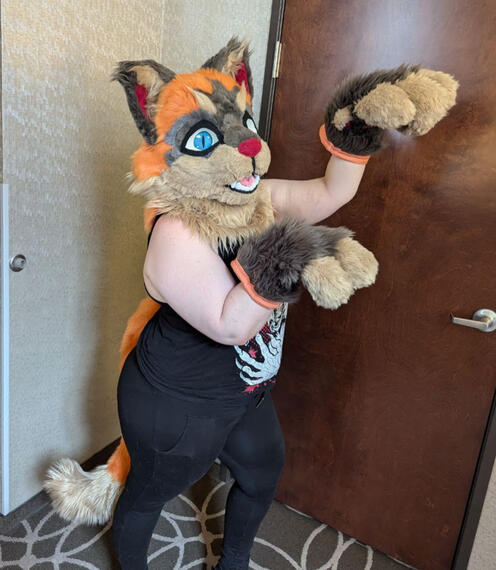 Ginger Cat Pre-made Ginger Cat Pre-made